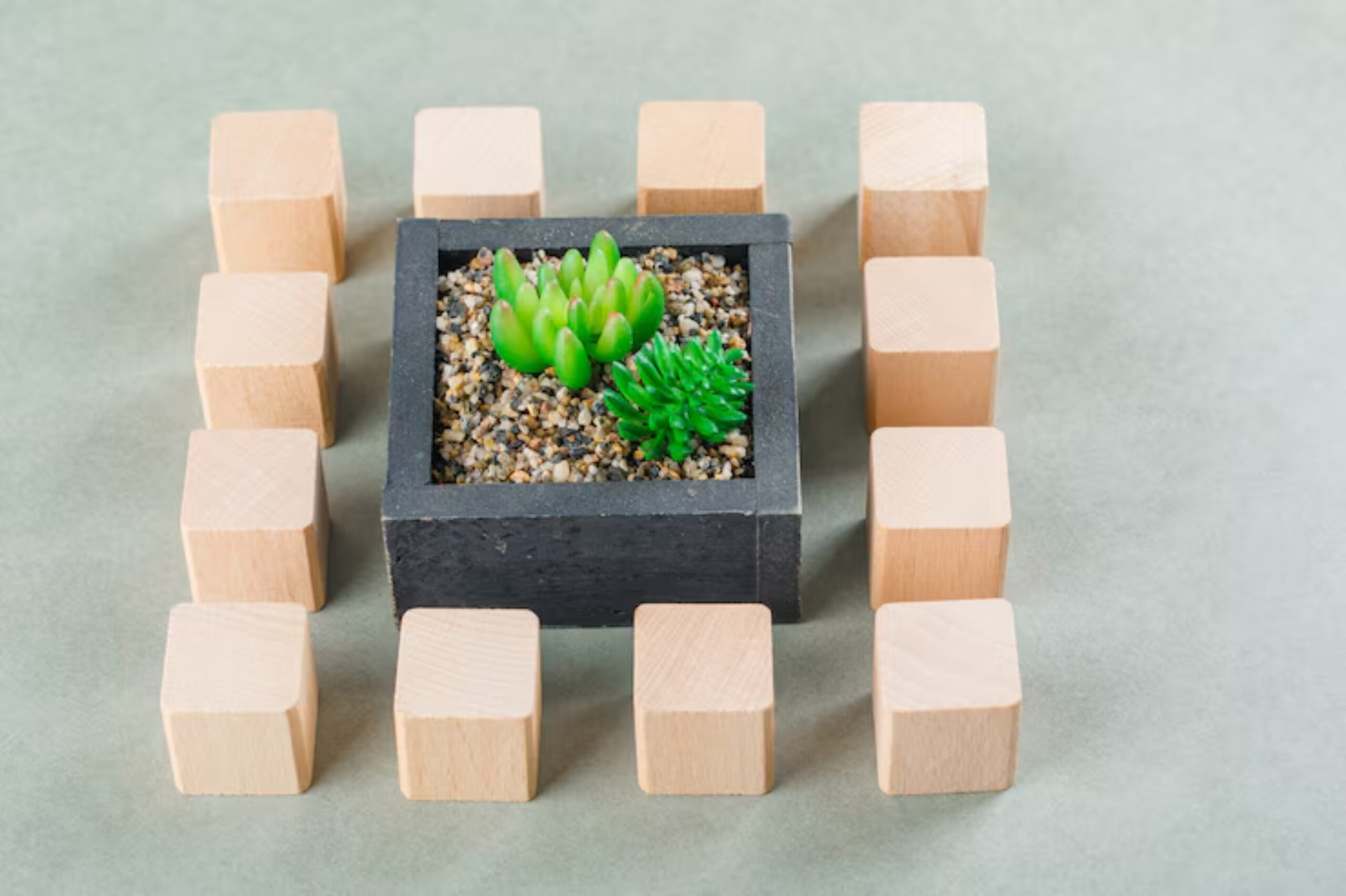 A black square pot filled with green succulents is surrounded by eight wooden blocks, arranged neatly on a light green background.